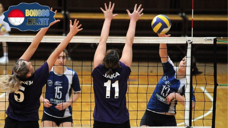 Bóng chuyền nam Việt Nam vs Campuchia - Cuộc đối đầu quốc tế 5 Bóng chuyền nam Việt Nam vs Campuchia - Cuộc đối đầu quốc tế