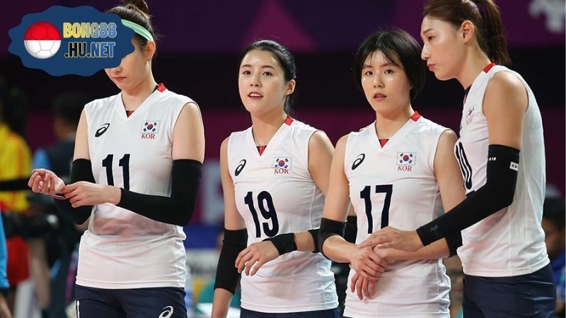 Đội Tuyển Bóng Chuyền Hàn Quốc - Những Điều Cần Phải Biết 