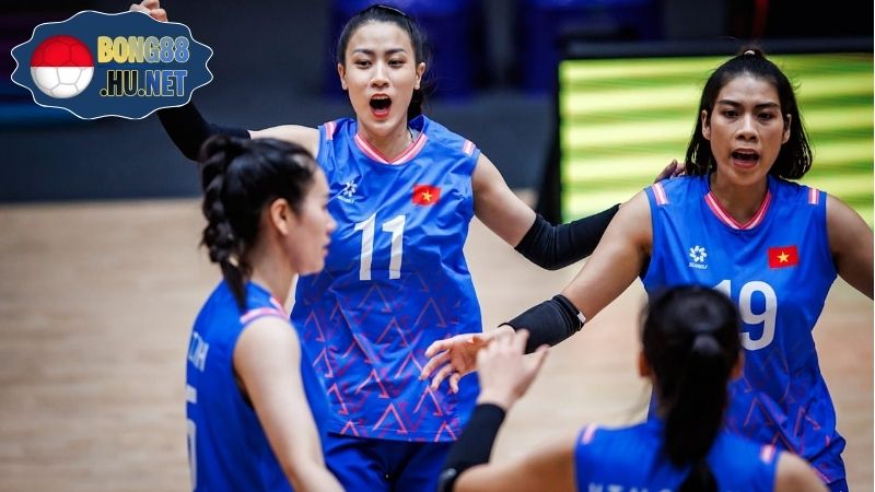 Thống kê điểm số bóng chuyền - Hiểu rõ và ứng dụng hiệu quả